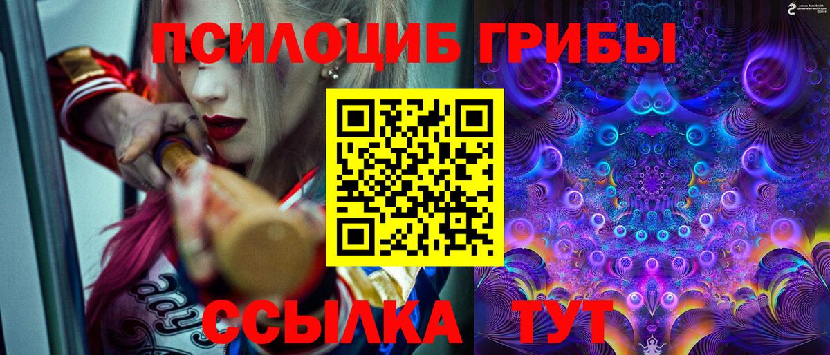 Галлюциногенные грибы Psilocybe Урай